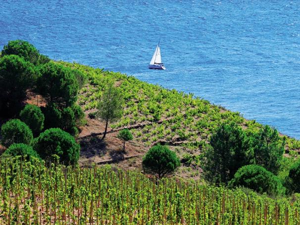 côte vermeille banyuls voilier