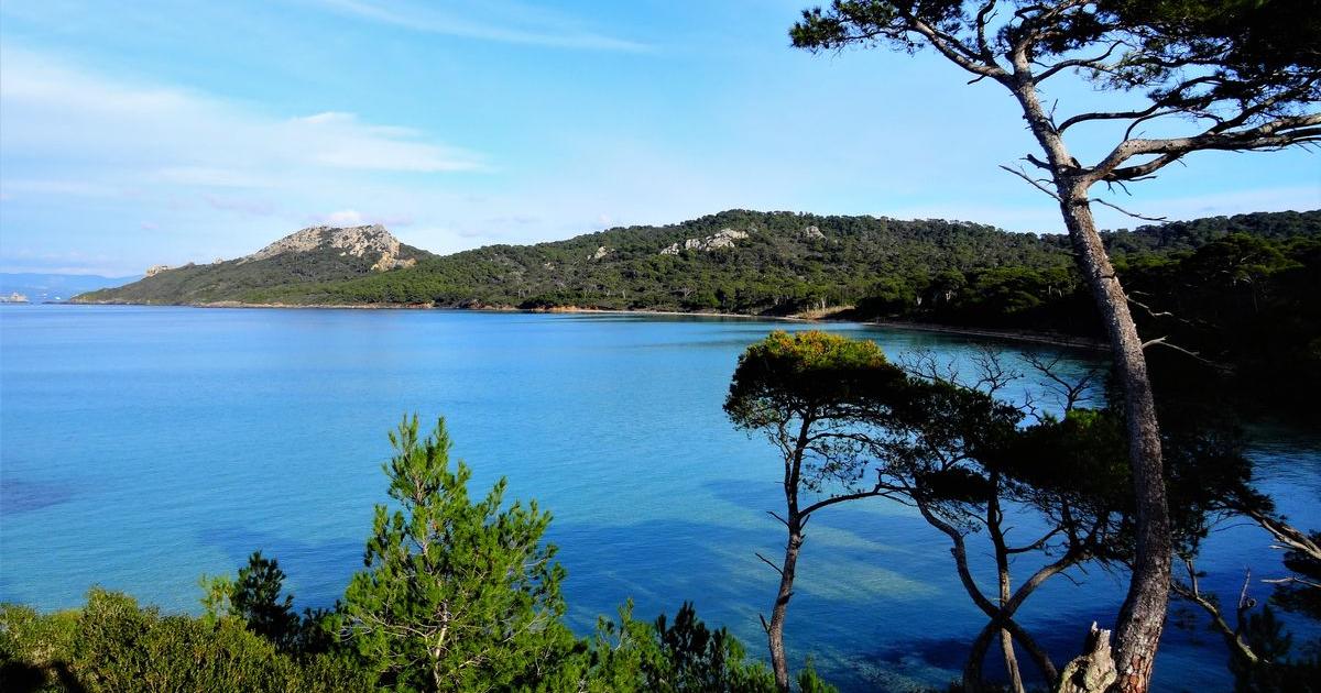 Porquerolles : Nature Et Hébergement Insolite | Les Sentiers De La Mer